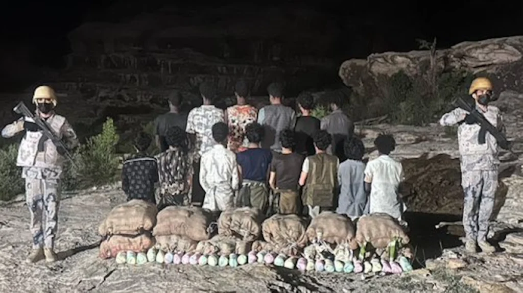 Saudi Border Guard foils attempt to smuggle 240 kg of khat in Asir