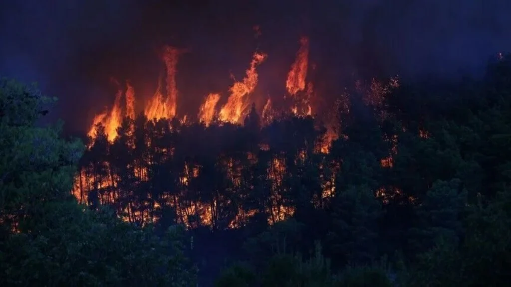 65,000 evacuate as wildfires destroy 700 homes in Washington state