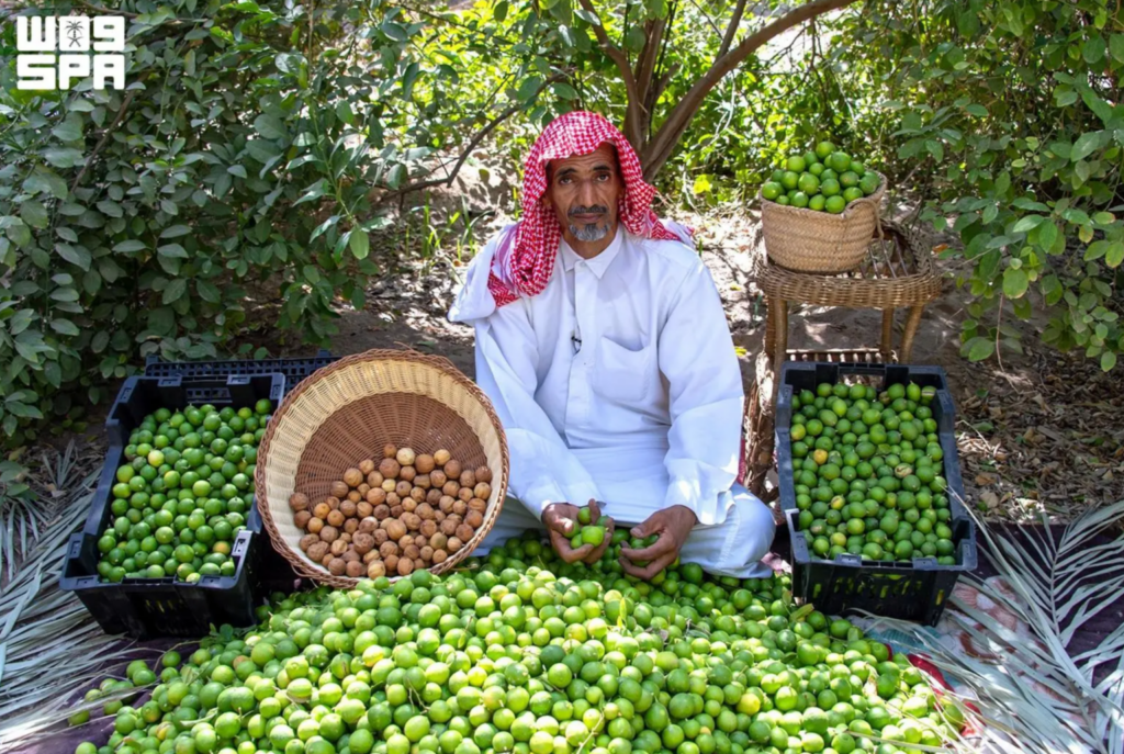 Al-Ahsa Limes Expand Presence in Local and Gulf Markets