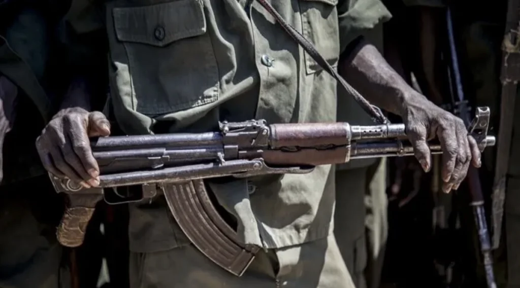 More than 25 civilians killed in RSF attack in Sudan’s North Kordofan