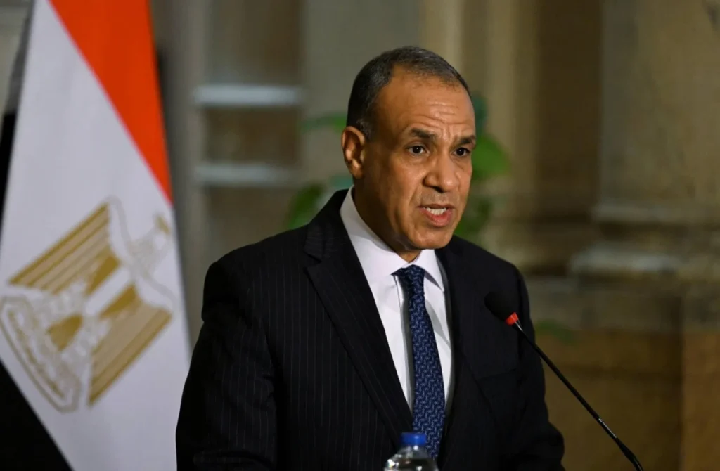 Egypt ready to provide Saudi Arabia with military assistance, foreign minister says